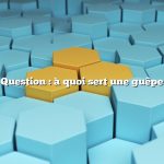 Question : à quoi sert une guêpe